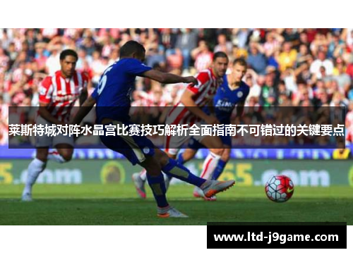 莱斯特城对阵水晶宫比赛技巧解析全面指南不可错过的关键要点