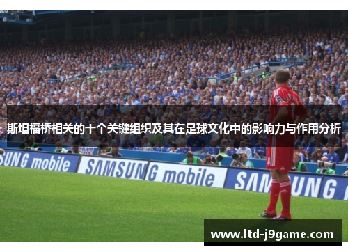斯坦福桥相关的十个关键组织及其在足球文化中的影响力与作用分析