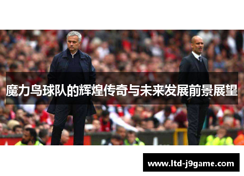 魔力鸟球队的辉煌传奇与未来发展前景展望