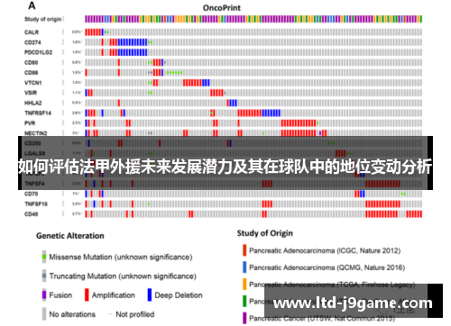 如何评估法甲外援未来发展潜力及其在球队中的地位变动分析