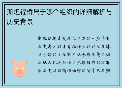 斯坦福桥属于哪个组织的详细解析与历史背景