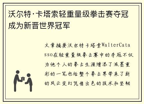 沃尔特·卡塔索轻重量级拳击赛夺冠 成为新晋世界冠军