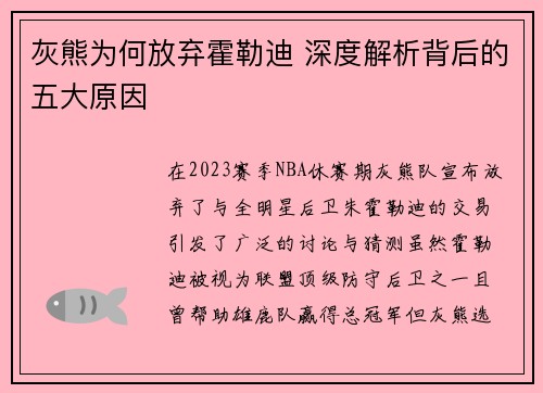 灰熊为何放弃霍勒迪 深度解析背后的五大原因